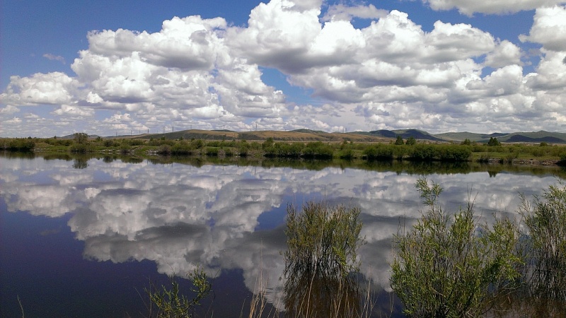 Озеро возле п. Ясногорск