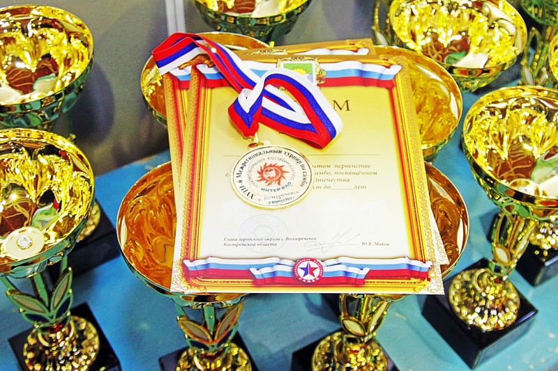 Награды на XVIII мехрегиональный турнир по самбо посвященный дню защитника отечества г. Волгореченск