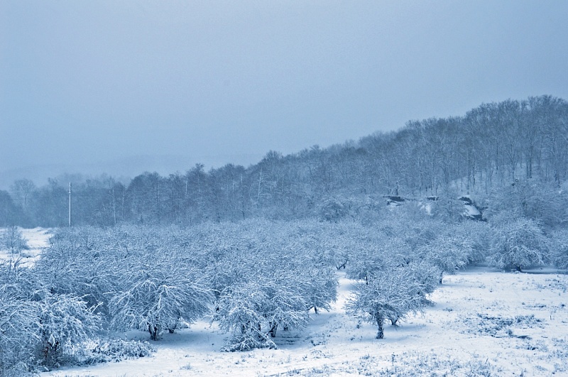 Зима на Джубгинскую ТЭС пришла неожиданно.